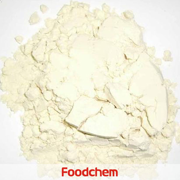 Soy Protein Geconcentreerd(Food grade) SUPPLIERS